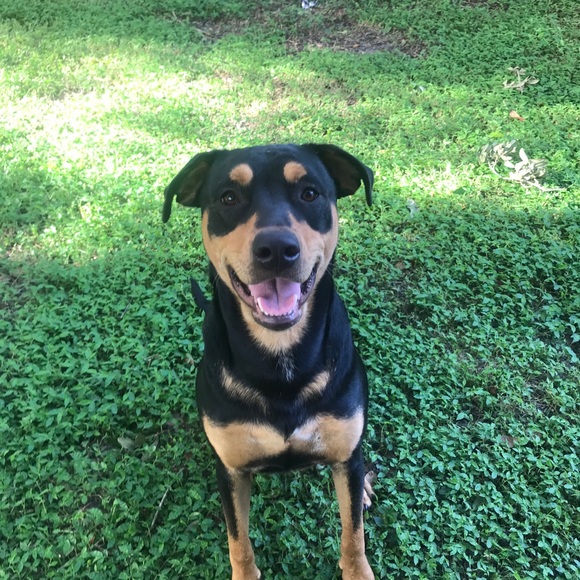 Meet your Posher, Carol - Picture 11 of 12